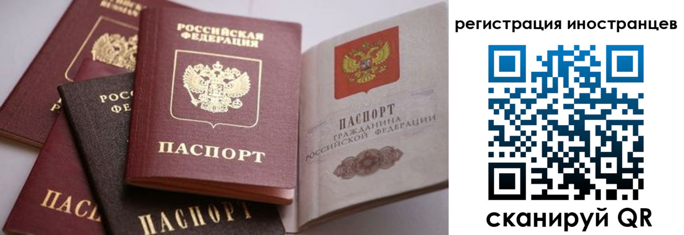 прописка штамп в Псковской области
